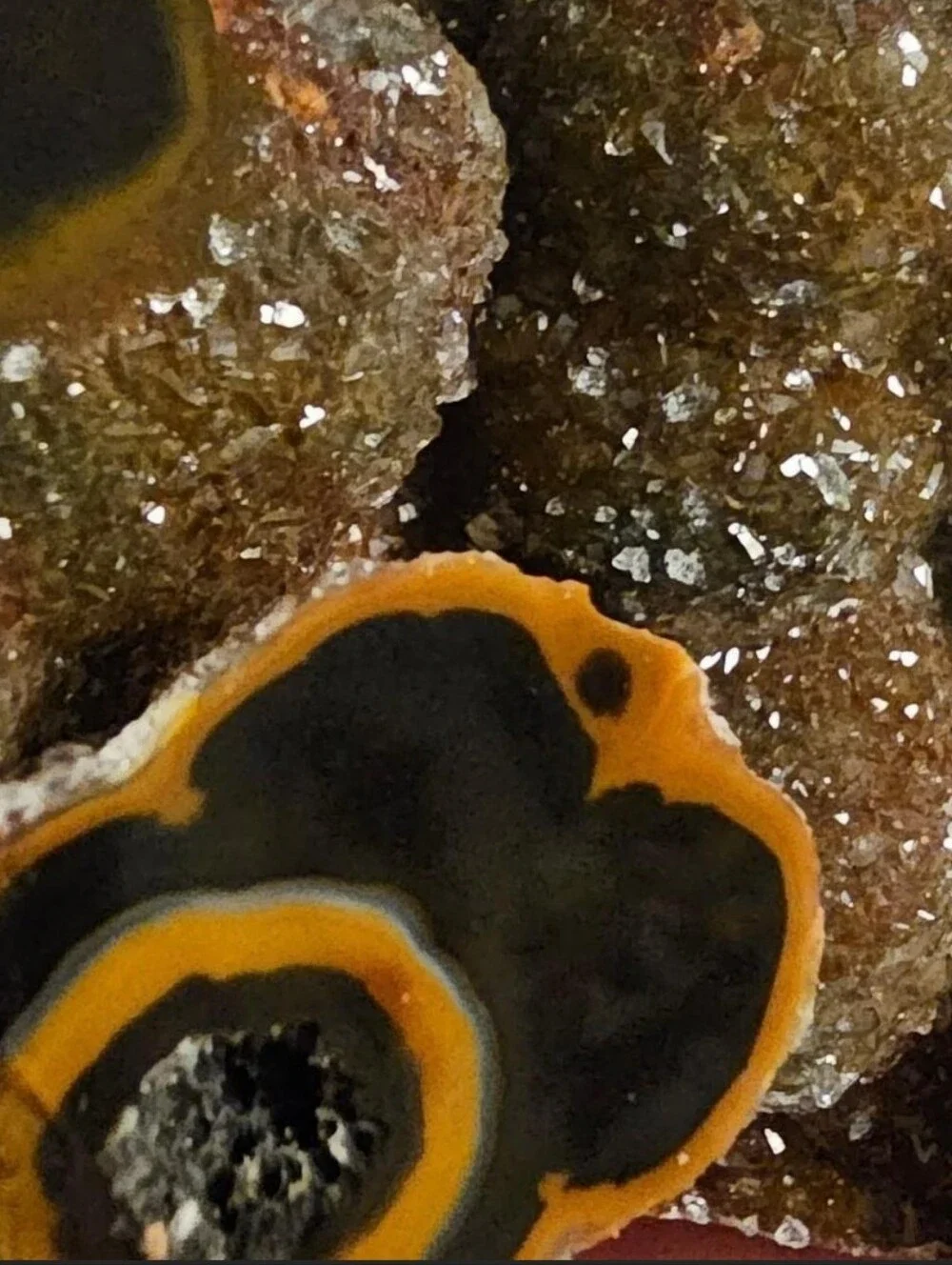 RARE Maligano Agate AAA Grade Druzy Tower Botryoidal Glitter Chalcedony Crystal